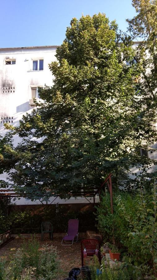 Apartament Casa Cu Tei Kluż-Napoka Zewnętrze zdjęcie
